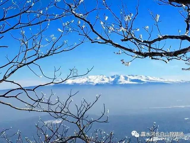 极限巅峰
