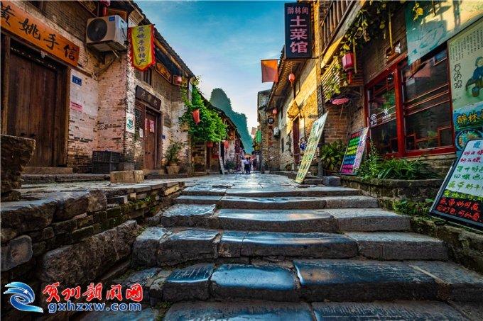 春雨直播app