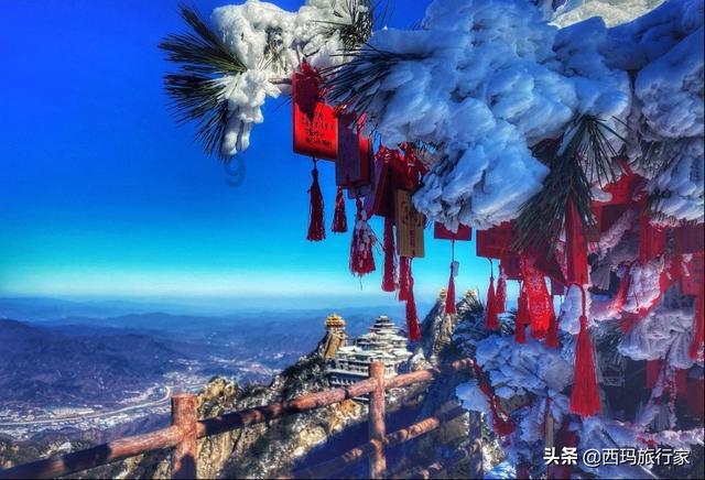 燃烧吧大脑装瓶子游戏